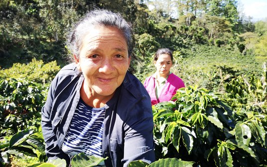 Dora Lazo und ihre Tochter Esther Noemi Lazo stehen im Kaffeefeld. Sie arbeiten beide im Fairen Handel.